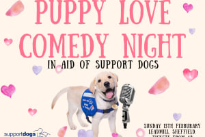 Puppy Love Comedy Night 