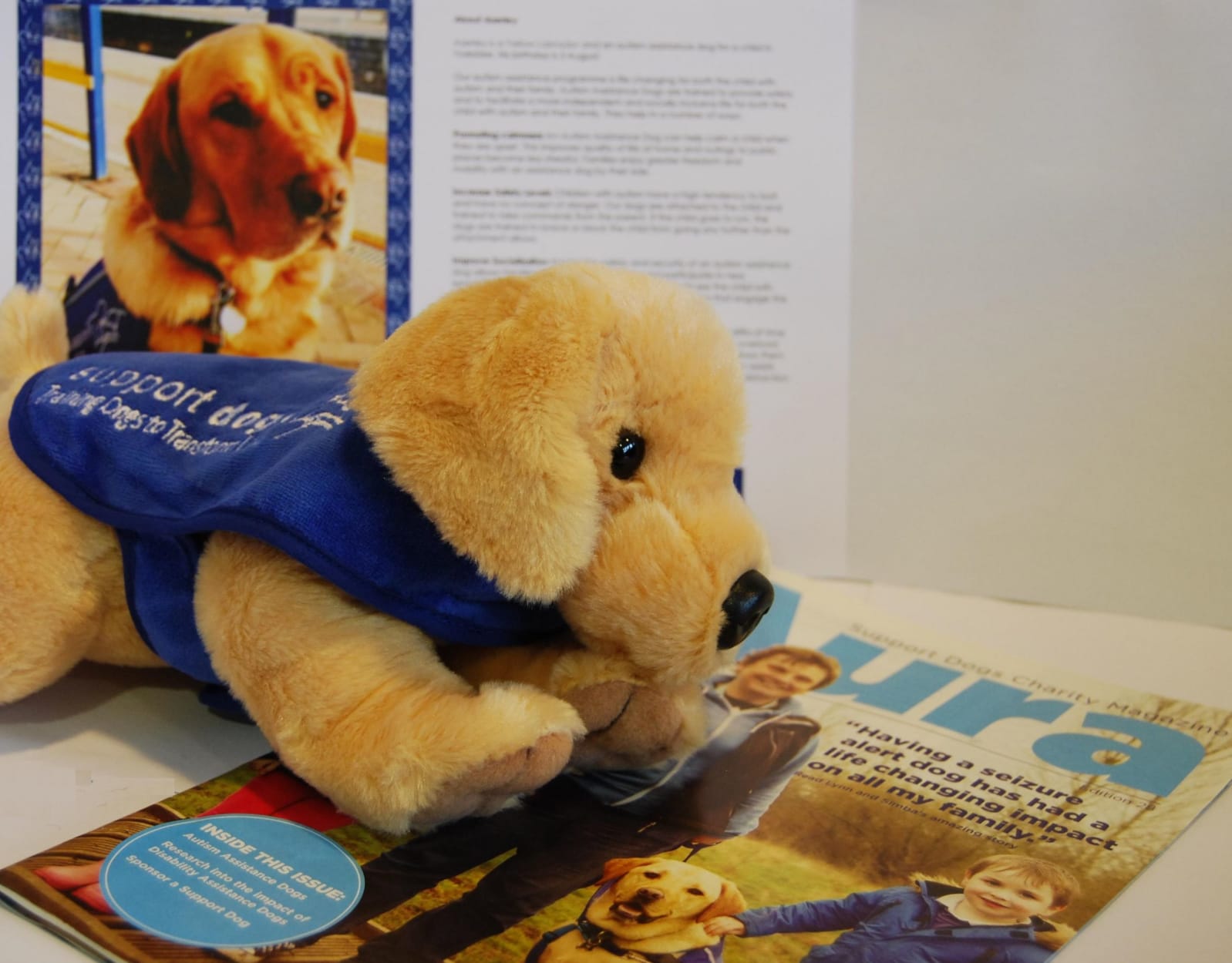 sponsor a support dog welcome pack