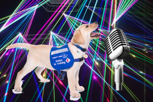 Virtual talent show, karaoke or lip-sync contest